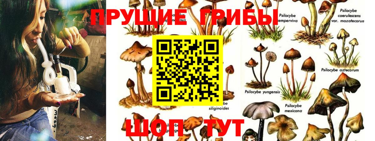 Астрахань  Галлюциногенные грибы MAGIC MUSHROOMS  Вход с VPN  Галлюциногенные грибы прущие грибы 