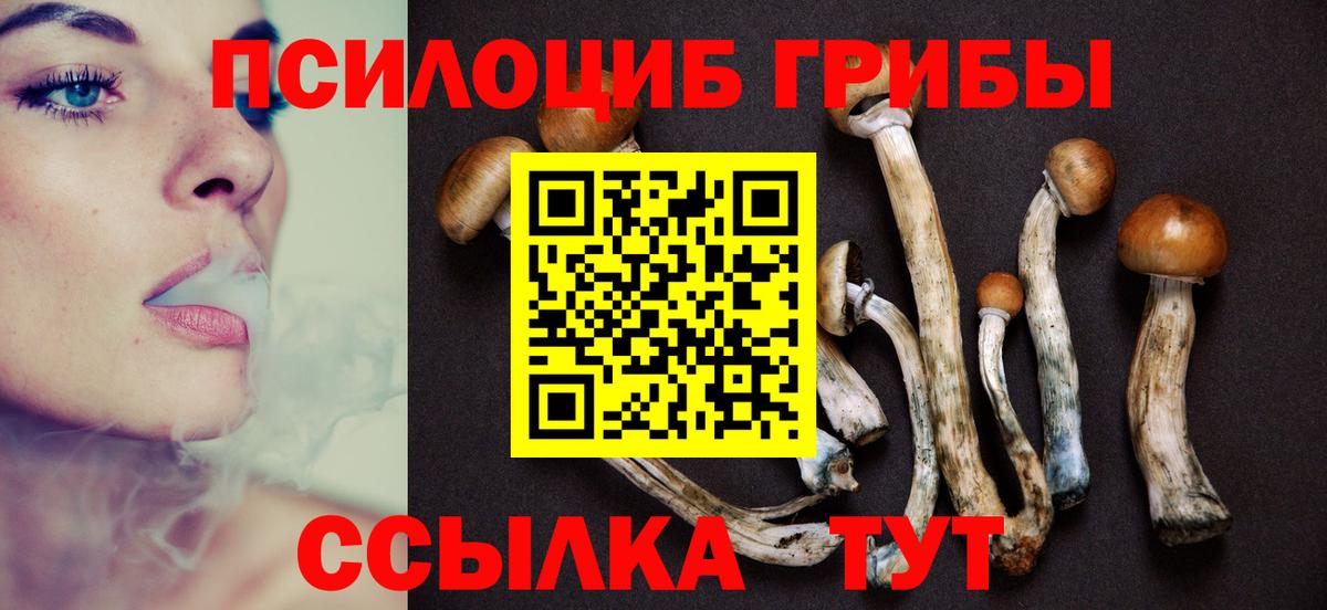 Псилоцибиновые грибы прущие грибы Астрахань